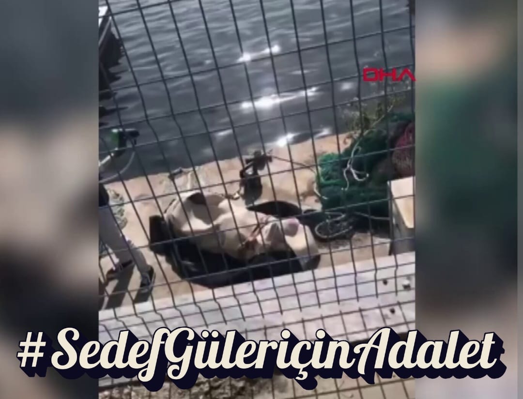 Sedef’in sesi ol, adaleti birlikte haykıralım! #SedefGüleriçinAdalet <a href="/adalet_bakanlik/">T.C. Adalet Bakanlığı</a>