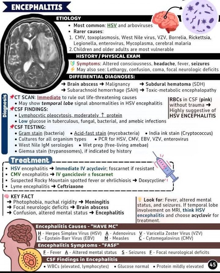 AB_drmd's tweet photo. خلنا نكتلم عن "Encephalitis" أو التهاب الدماغ. ليه هو مهم؟ لأنه ماله شكل واحد، وأعراضه ممكن تشبه أمراض كثير ثانية! يعني ممكن يجيلك مريض تعبان، عنده حرارة، ويتصرّف بغرابة، وتفكره عنده meningitis أو stroke، لكن يطلع عنده encephalitis. تخيّل! 😯

ايش اسباب حدوثه؟
العدو رقم 1 والأكثر شيوعًا هو "Herpes Simplex Virus" (HSV) وبالذات النوع الأول، هذا يحب الدماغ ويتسبب بأكثر حالات الـ encephalitis شيوعًا. بعده يجي "Arboviruses" (زي West Nile virus)، وهم بعد معروفين.
📌 الفئة العمرية المعرضة؟ الأطفال وكبار السن، لأن مناعتهم عادة أضعف.

👨‍⚕️ القصة توضح أكثر مع الأعراض (Symptoms)
المرض يبدأ بأشياء نقدر نعتبرها عامة، لكن مهمة:
- حرارة (fever) 🌡️
- صداع (headache)
- تغير في الوعي أو الحالة العقلية (Altered mental status) 🧠
- نوبات تشنجية (seizures) ⚡
وأحيانًا المريض يبان عليه:
- خمول
- ارتباك
- فقدان الوعي (coma)
- ضعف عصبي موضعي (focal neurological deficits)

⚠️ وش ممكن نخلط فيه؟ (Differential Diagnoses)
أمراض كثيرة تشبه encephalitis، مثل:
- Brain abscess (خراج دماغي)
- Subdural hematoma (نزيف تحت الأم الجافية)
- SAH = Subarachnoid hemorrhage (نزيف تحت العنكبوتية)
- Malignancy (أورام)
- Toxic-metabolic encephalopathy (تسمم أو خلل في الأيض)
- Meningitis (التهاب السحايا)
يعني لازم تكون ذكي، لأن الشكل العام متشابه، لكن التفاصيل تفرق!

🧠 التشخيص يبدأ بـ:
🔍 CT Scan:
نسويه بشكل "فوري" (Immediate) علشان نستبعد أي شيء مهدد للحياة زي النزيف أو الورم. ومهم جدًا قبل نسحب عينة من السائل الدماغي (CSF) عشان نتأكد ما فيه ضغط داخل الدماغ.
☝️ في حالات HSV ممكن نشوف تغيّرات في الفص الصدغي (temporal lobe) على الأشعة.

💉 تحليل CSF (السائل الدماغي الشوكي):
- أهم علامة في HSV encephalitis؟ وجود كريات حمراء (RBCs) من غير trauma! لونها وردي في السائل ➜ علامة قوية على HSV.
- Lymphocytic pleocytosis = زيادة الخلايا اللمفاوية.
- البروتين ↑ شوي.
- الجلوكوز غالبًا طبيعي، لكن ممكن ↓ في حالات زي السل أو الفطريات.

🧪 اختبارات إضافية لـ CSF:
- Gram stain (للـ bacteria)
- Acid-fast stain (للـ Mycobacteria)
- India ink stain (لكشف Cryptococcus)
- Cultures لجميع الميكروبات
- PCR لفيروسات مهمة: HSV, CMV, EBV, VZV, Enterovirus
- West Nile IgM
- Wet prep (للأميبا)
- Giemsa stain (لو فيه تاريخ يسند وجود Trypanosomes)

💊 العلاج (Treatment):
HSV encephalitis ➜ IV Acyclovir فورًا! ولو ما استجاب، نعطي Foscarnet.
CMV encephalitis ➜ نعطي IV Ganciclovir أو Foscarnet.
Rocky Mountain Spotted Fever أو Ehrlichiosis ➜ Doxycycline.
Lyme encephalitis ➜ Ceftriaxone.