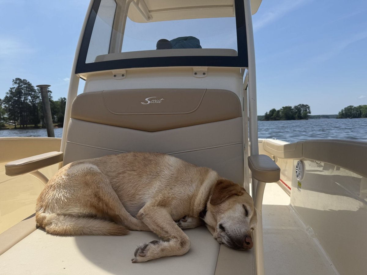 Looks like a great day on the water. Thanks, <a href="/ScoutBoatsInc/">Scout Boats</a>, for making it even better.