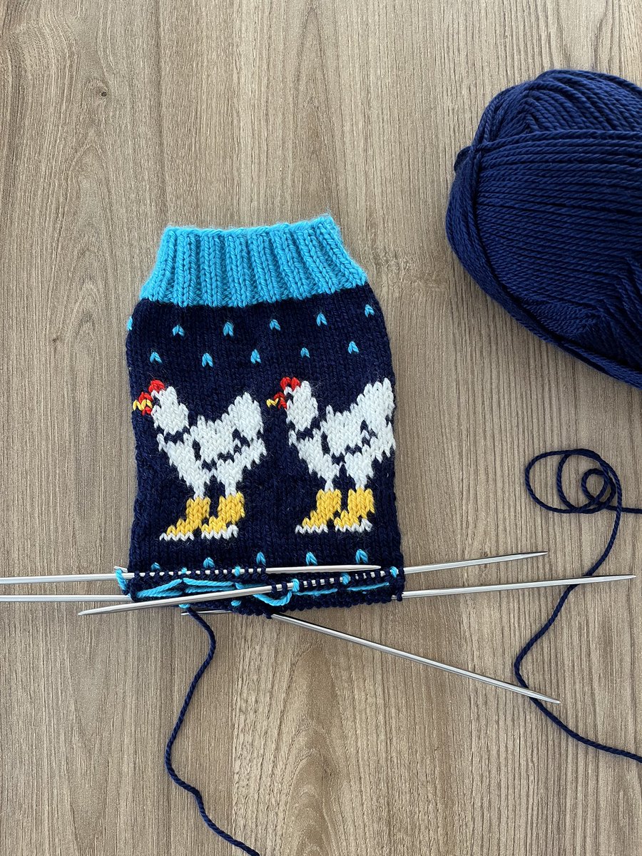 Yeni tavuklu çorap siparişime başladıım 🐓