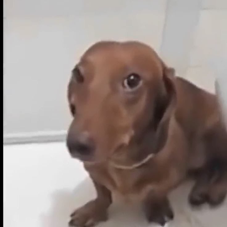 itsackerman's tweet image. estar em casa no feriado e ter que estudar é foda né..  
minha mãe acabou de me dar um ultimato de 2 horas pra estudar antes de ter que sair com ela pra algum lugar..