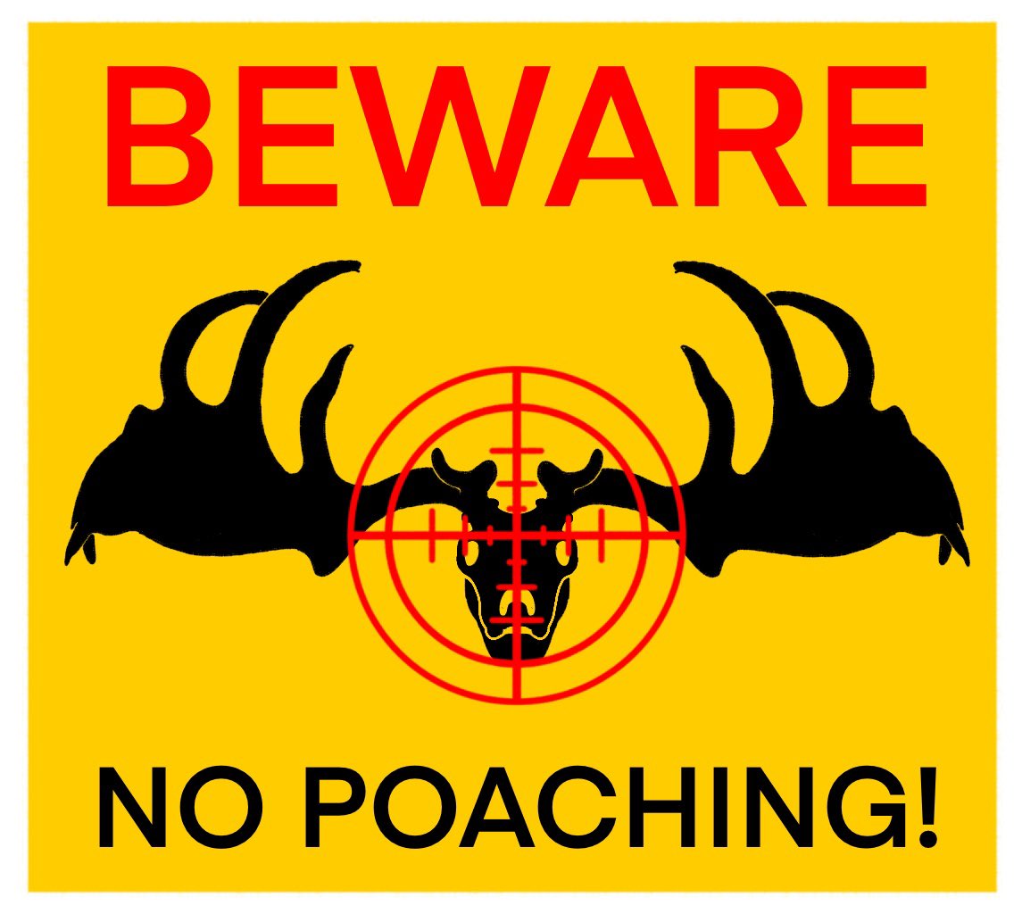 JManTheAngel2's tweet photo. Beware of Poachers
.
#fossil #poaching #itiscolossal #iceage #beware #mammoth #irishelk #fanart #direwolf #smilodon #woollymammoth #colossalbiosciences #sanctuary https://t.co/leH7k0AFS1
