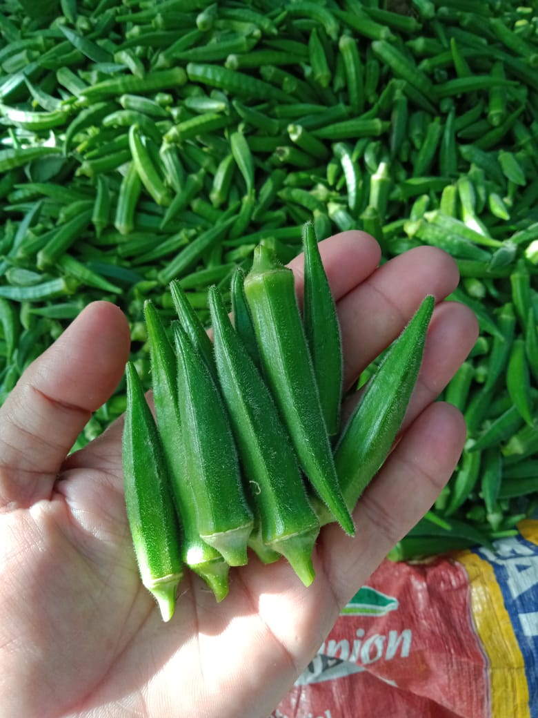 Talpur Traders tweet media