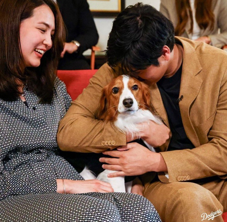 てちみ tweet media