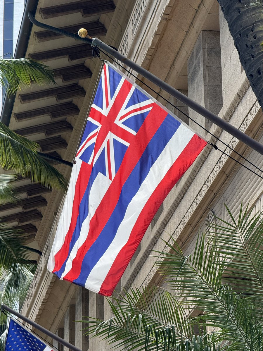 Matt Oram tweet media