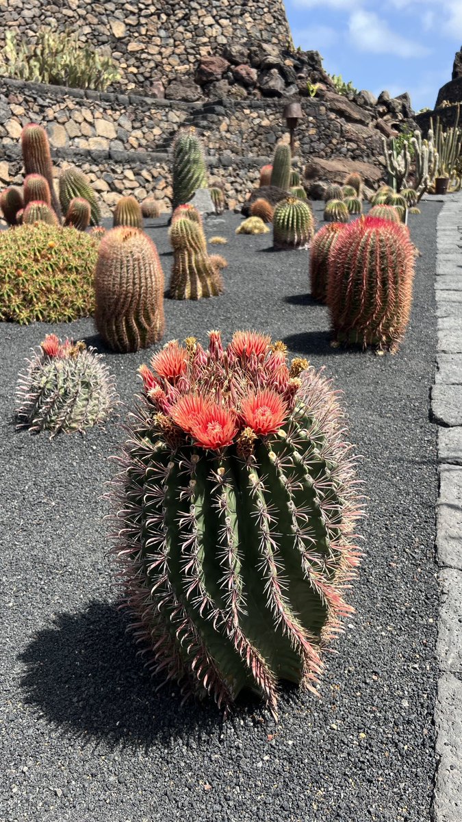 fabbriluca67's tweet photo. Lanzarote https://t.co/vwUFhWFfMP