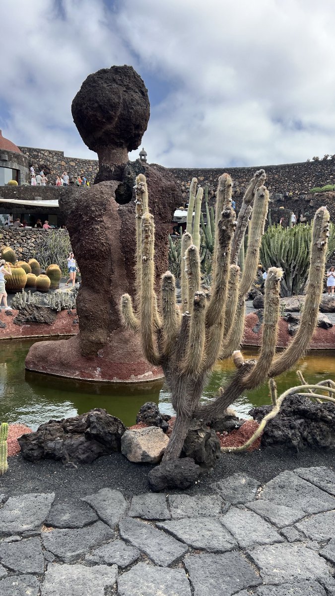fabbriluca67's tweet photo. Lanzarote https://t.co/vwUFhWFfMP