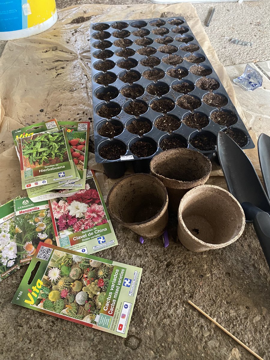 ItzelChatu's tweet photo. Les deseo un esposo como el mío ✨
Si hoy quiero ser jardinera me compra 
/consigue todo para que lo haga posible. https://t.co/IXJP3gQWaP