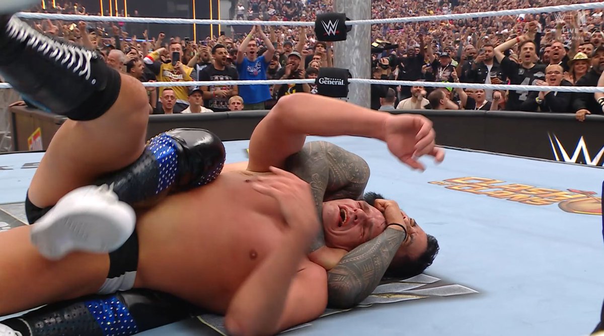 Wrestlelamia.com tweet media