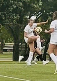 Susan Denning tweet media