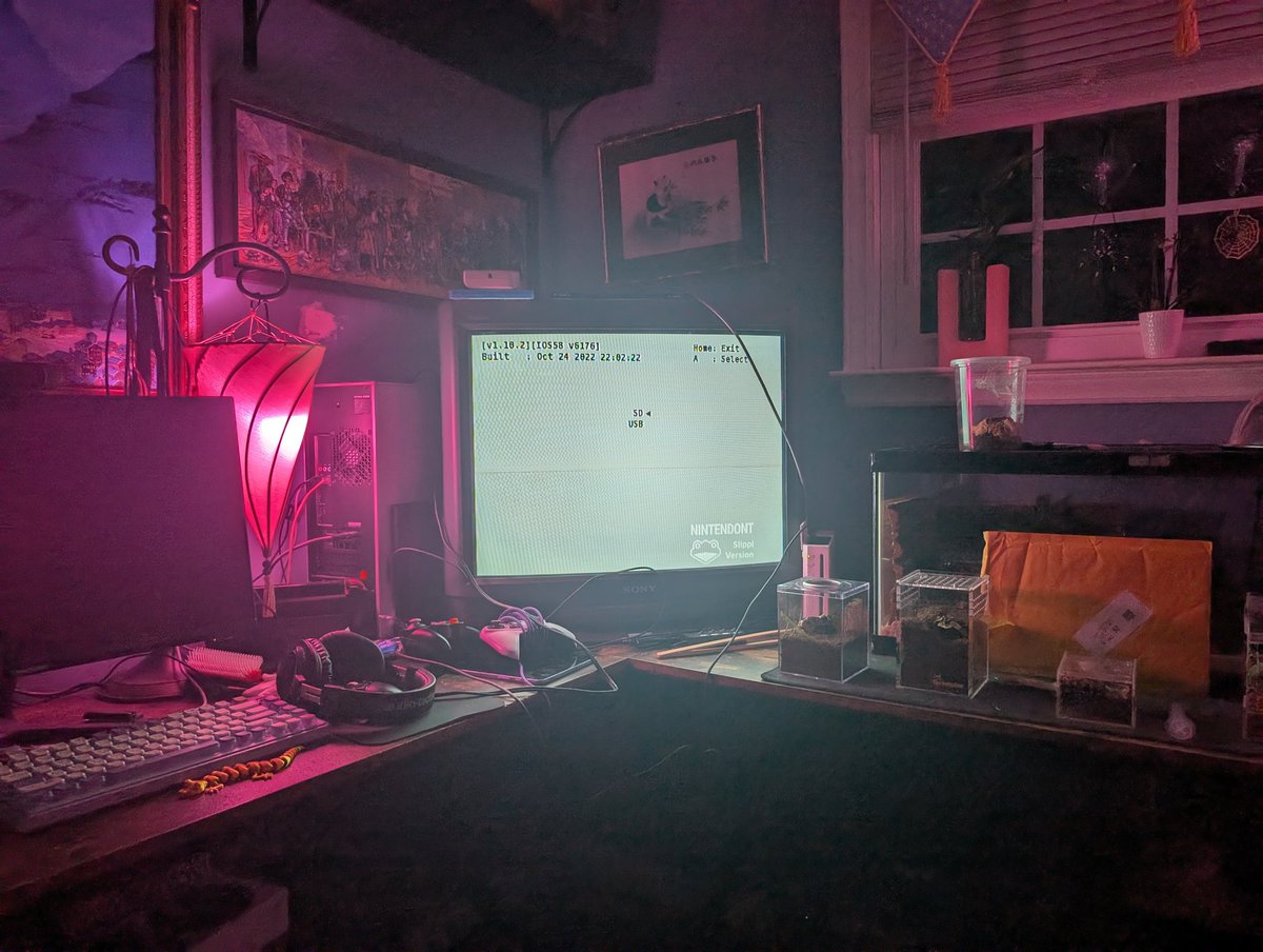 Is this aesthetic? #pleasedontsuemenintendo