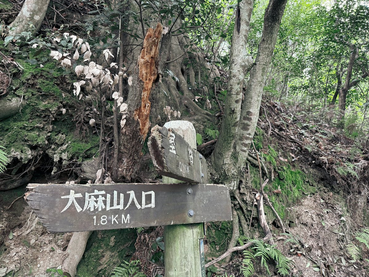 mista45's tweet photo. 4月20日
部屋番号420を抜け出し
大麻山を登ります

＼フルコンボだドン／ https://t.co/ZcWuhxTS92