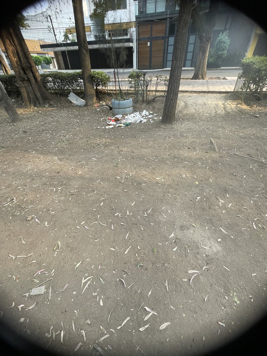 x_irais's tweet photo. En el parque de san Bartolo es un basurero no permitan que se haga más grande hay muchas moscas cerca de los juegos de los niños @AlcaldiaGam @TuAlcaldiaGAM @LindavistaUnida @planetariolindavista https://t.co/GvKjd0d8Oa