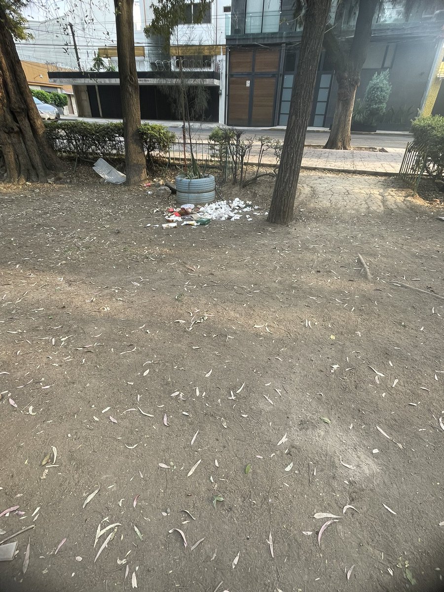x_irais's tweet photo. En el parque de san Bartolo es un basurero no permitan que se haga más grande hay muchas moscas cerca de los juegos de los niños @AlcaldiaGam @TuAlcaldiaGAM @LindavistaUnida @planetariolindavista https://t.co/GvKjd0d8Oa