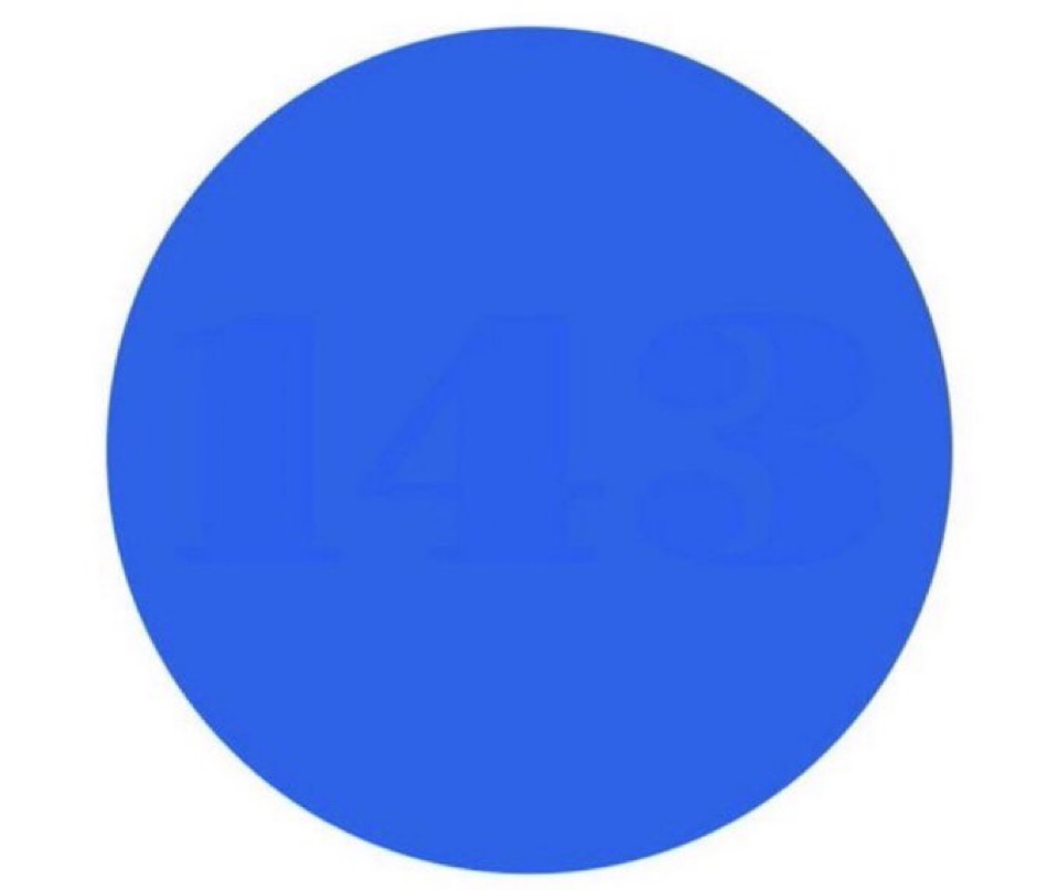 Not Elon Musk tweet media