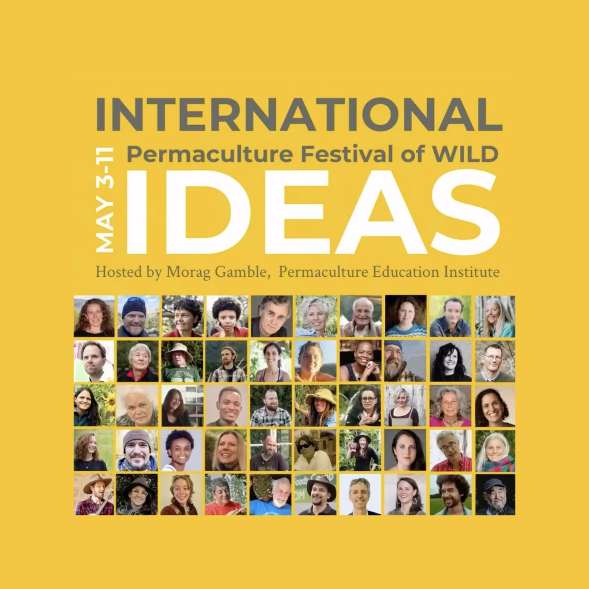 International Permaculture Day tweet media