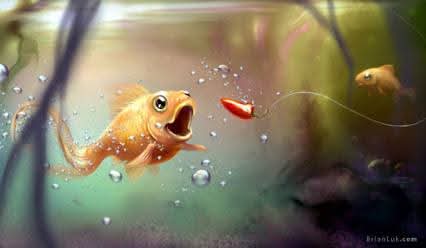 لا تبالغ كثيراً في الأنتباه والحذر وتوكل علي الله فعيون الأسماك مفتوحة دائما
 وغالبا وكثيراً ما تتجه للشباك