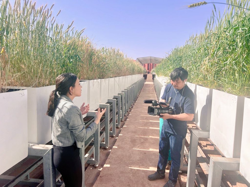Kamal Hejjaoui (@hejjaouikamal) on Twitter photo 1/3 Always a pleasure to welcome our Japanese partners to <a href="/UM6P_officiel/">UM6P - University Mohammed VI Polytechnic</a>
After a successful 1st documentary on food security taking the <a href="/TVTOKYO_PR/">テレ東</a> team from #Japan to #Morocco, with stops <a href="/GlobalSeedVault/">Svalbard Seed Vault</a> and #Sudan. It highlights the success story of a +5 years <a href="/SATREPS/">サトレップス</a> project 1/3 Always a pleasure to welcome our Japanese partners to <a href="/UM6P_officiel/">UM6P - University Mohammed VI Polytechnic</a>
After a successful 1st documentary on food security taking the <a href="/TVTOKYO_PR/">テレ東</a> team from #Japan to #Morocco, with stops <a href="/GlobalSeedVault/">Svalbard Seed Vault</a> and #Sudan. It highlights the success story of a +5 years <a href="/SATREPS/">サトレップス</a> project