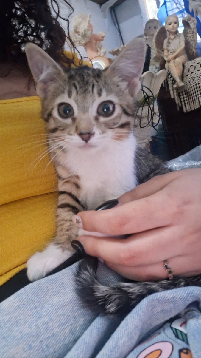 Dian ✨️💌 tweet media