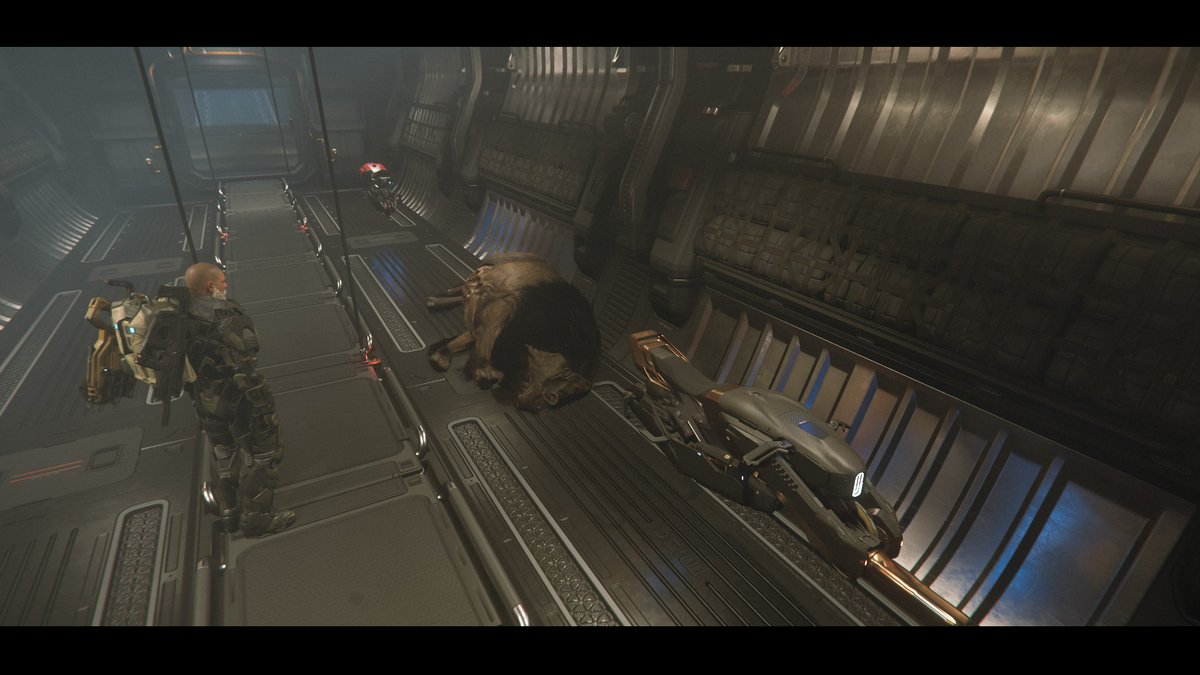 Big Game Hunting with <a href="/Nighthawk_Zale/">Nighthawk_Zale</a> 
And the big game <a href="/RobertsSpaceInd/">Star Citizen</a>  #StarCitizen