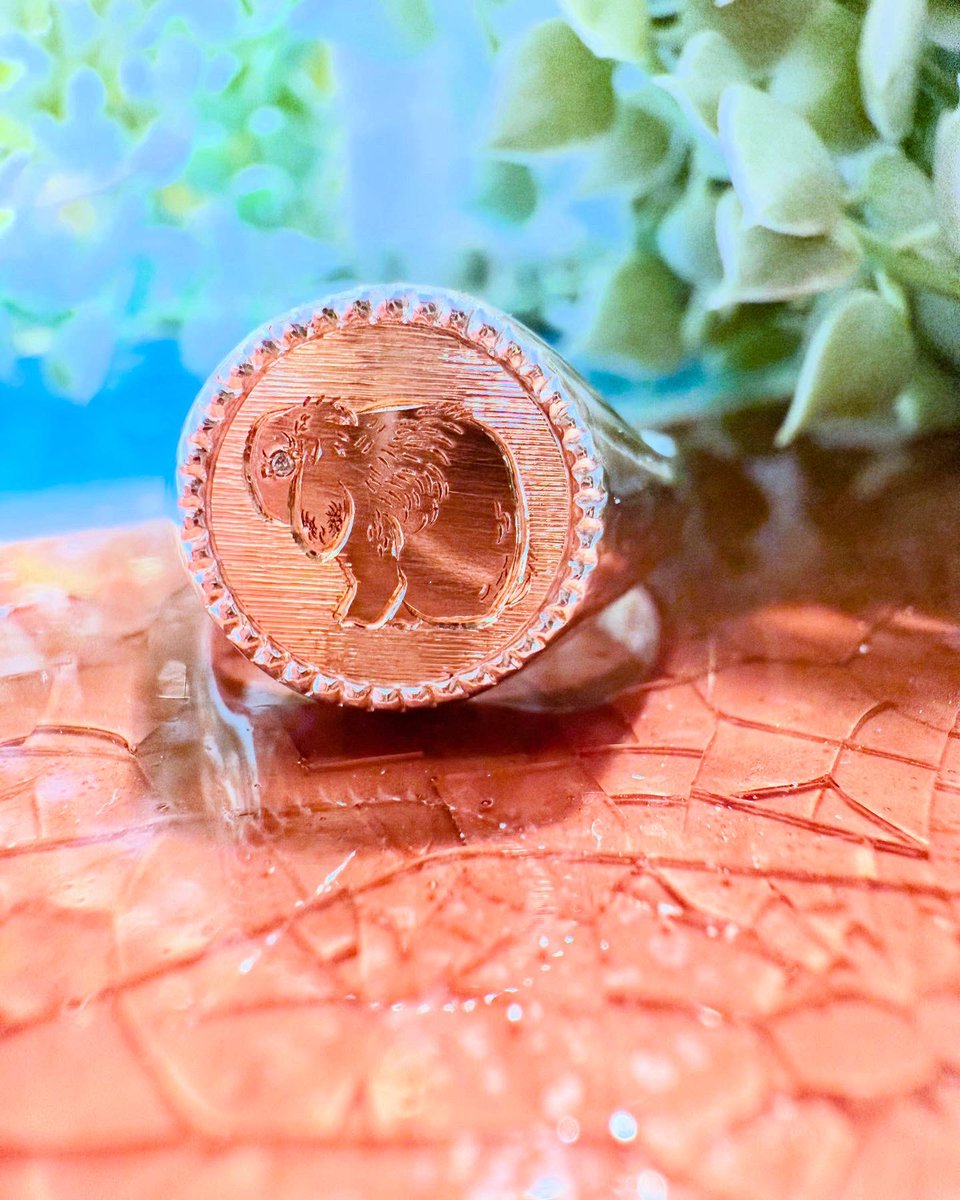 byMaruta's tweet photo. original signet ring
#ロップイヤーラビット https://t.co/Ogq6F4oMgc