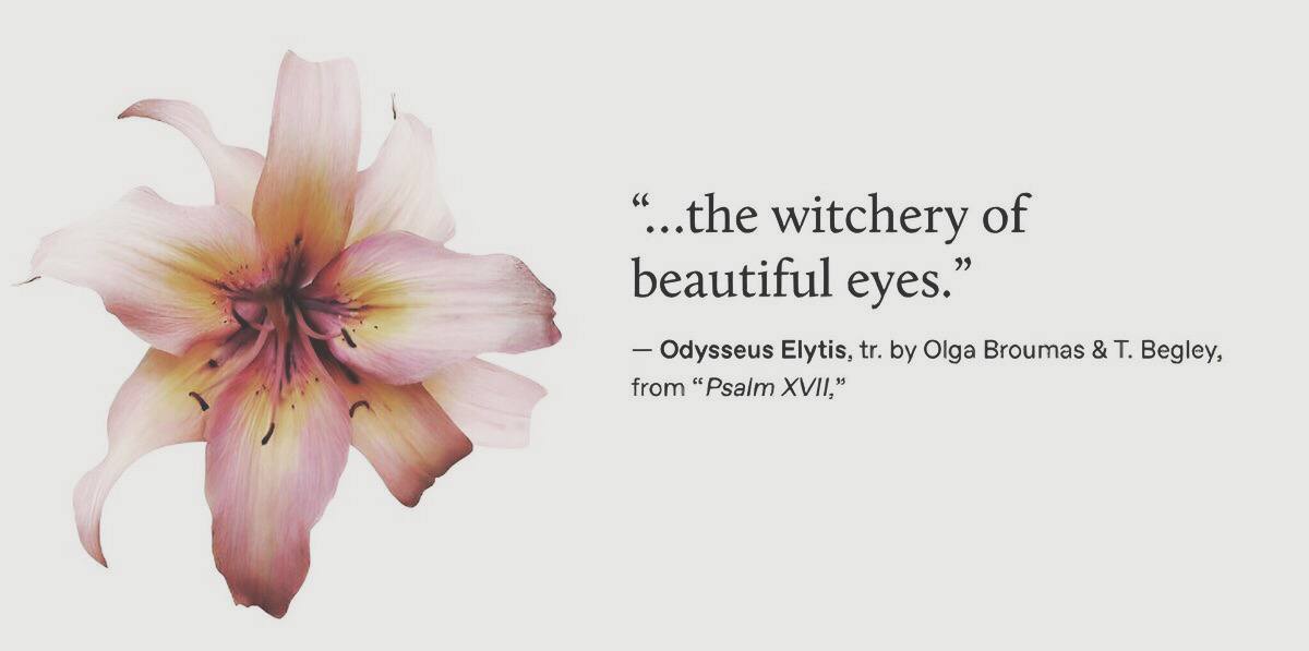 aunbin's tweet image. ⎘. 𝗱𝗮𝗶𝗹𝘆-𝗹𝗼𝗴 (..) 
내 활동을 보러 오세요 ,