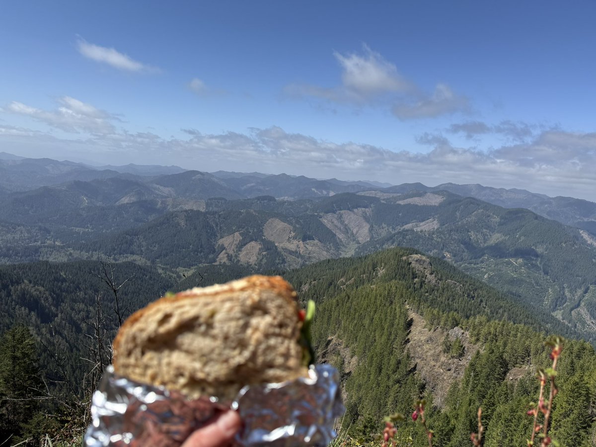 PNW weekend lunch views