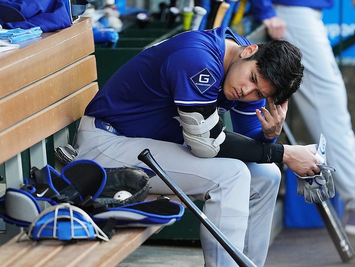 てちみ tweet media