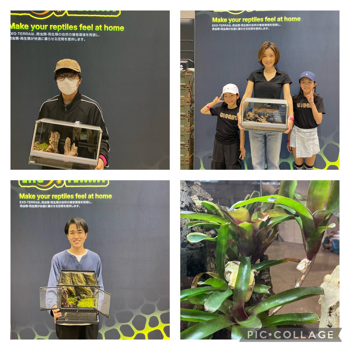 ジャパンレプタイルズショー in東京 、#ビッグレプ、2日目です！

レイアウ教室は会場でいつでも受付中です。
昨日のレイアウト完成画像です！
今日はどんなレイアウトが出来上がるのか楽しみです。

#exoterra #エキゾテラ #爬虫類 #テラリウム #JRS #ジャパレプ