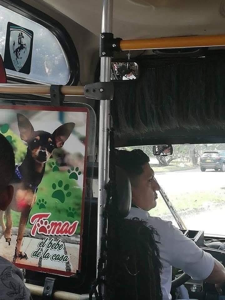 Yo si fuera chofer de microbús: