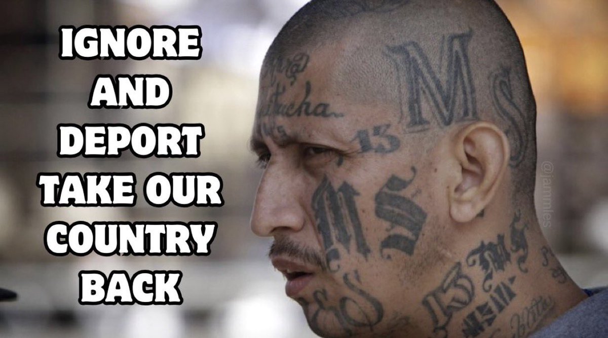 jammles9's tweet image. These criminals were brought in illegally by the millions. 

77 million people voted to have them sent back. 

If they were sent here illegally then they should not be allowed due process!