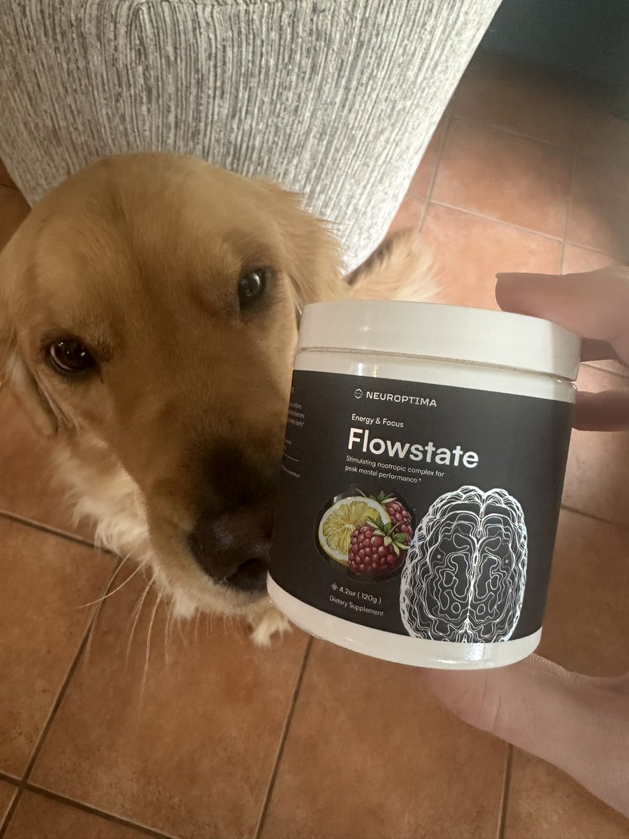 TSM gMd π¨π¦ (@guiiimond) on Twitter photo Me and Charlie have been trying this new <a href="/Neuroptima/">Neuroptima</a> Flowstate V3 and i truly love it, theres 0 crash, i feel so much more focused and dont forget it helped me go 3-0 in challengers so far. No jitters. Perfection. Me and Charlie have been trying this new <a href="/Neuroptima/">Neuroptima</a> Flowstate V3 and i truly love it, theres 0 crash, i feel so much more focused and dont forget it helped me go 3-0 in challengers so far. No jitters. Perfection.