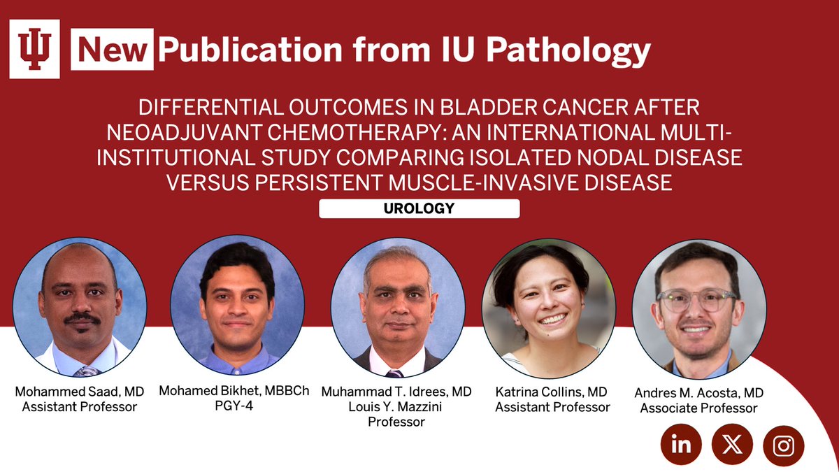 IUPathology (@iupathology) on Twitter photo 🆕 New publication alert 🚨
Isolated nodal disease post-NAC linked to higher recurrence, not worse survival after cystectomy #gupath <a href="/Andres_M_Acosta/">Andres Martin Acosta (Andy)</a> <a href="/katcollmd/">Katrina Collins, MD || Pathologist</a>
🔗 pubmed.ncbi.nlm.nih.gov/40250715/ 🆕 New publication alert 🚨
Isolated nodal disease post-NAC linked to higher recurrence, not worse survival after cystectomy #gupath <a href="/Andres_M_Acosta/">Andres Martin Acosta (Andy)</a> <a href="/katcollmd/">Katrina Collins, MD || Pathologist</a>
🔗 pubmed.ncbi.nlm.nih.gov/40250715/