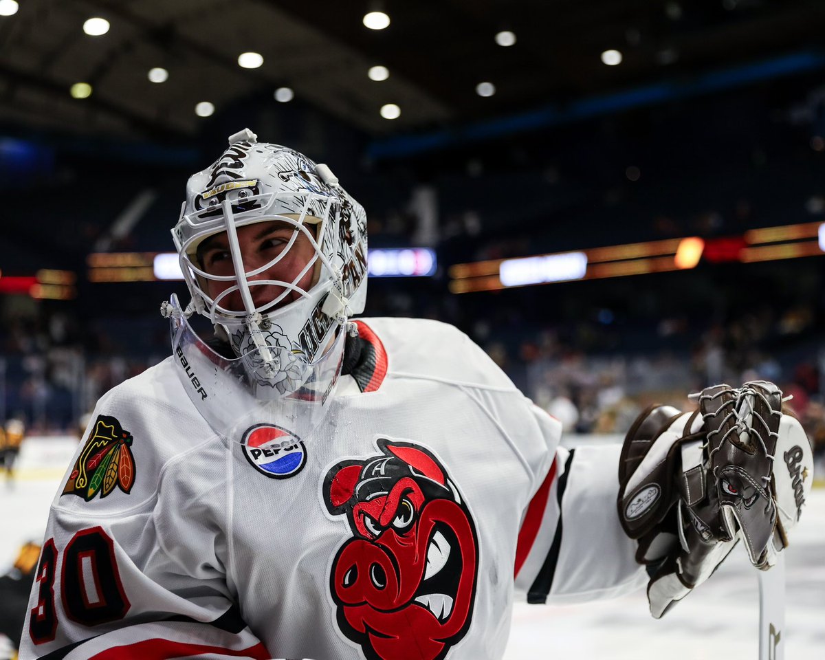 goicehogs's tweet photo. Hi Cam 😁👋 https://t.co/3HvGfNWyZH