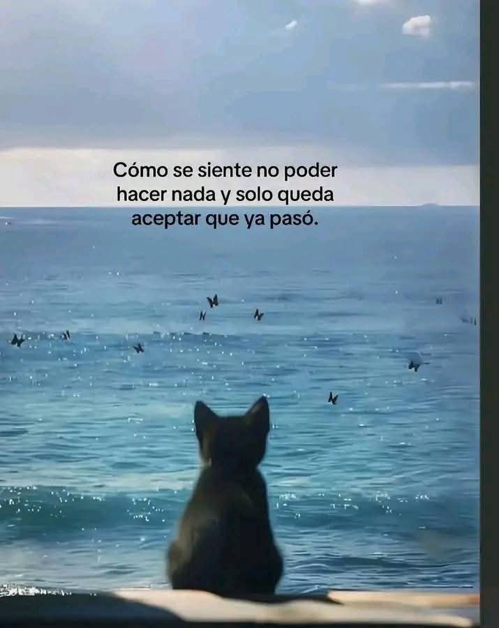 FraseSimple's tweet photo. https://t.co/3cEFly7ltz