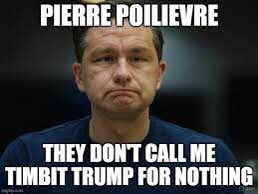 CanadianCoffey's tweet image. #TimbitTrump