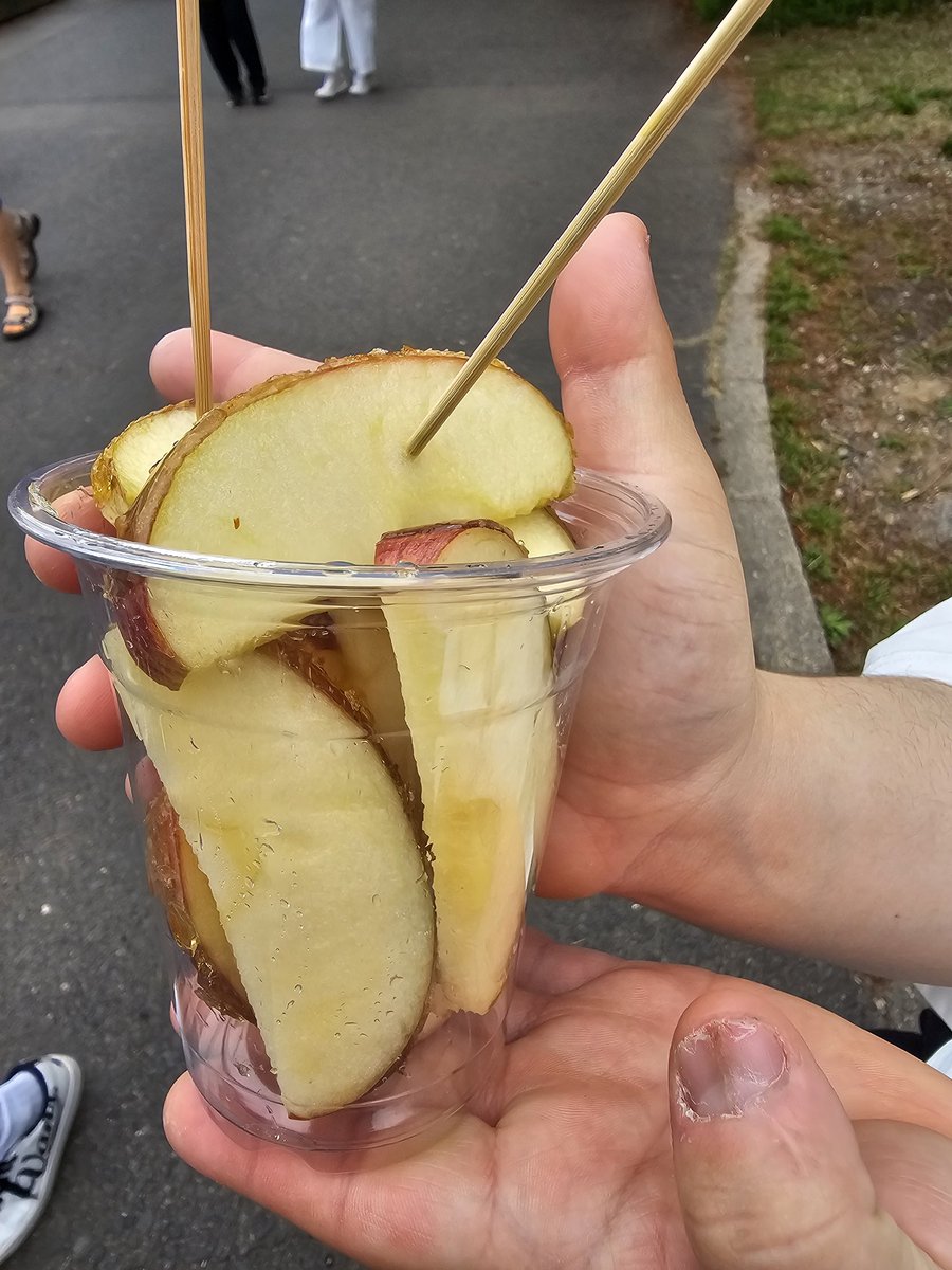 ネモフィラ見に来た