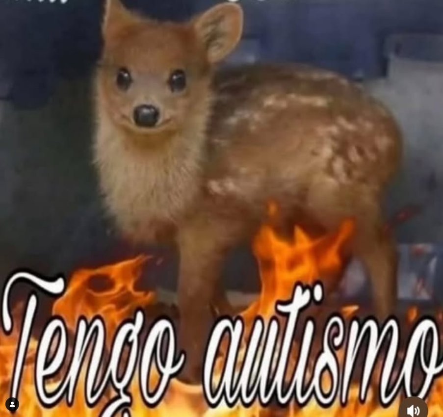 Econtierr's tweet photo. wtf prendí stream? https://t.co/Zu335wvE5K https://t.co/EOcv8dByYk