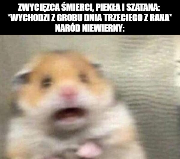 Unogz13's tweet photo. Błogosławionych świąt wszystkim https://t.co/PyfdFpj87Y