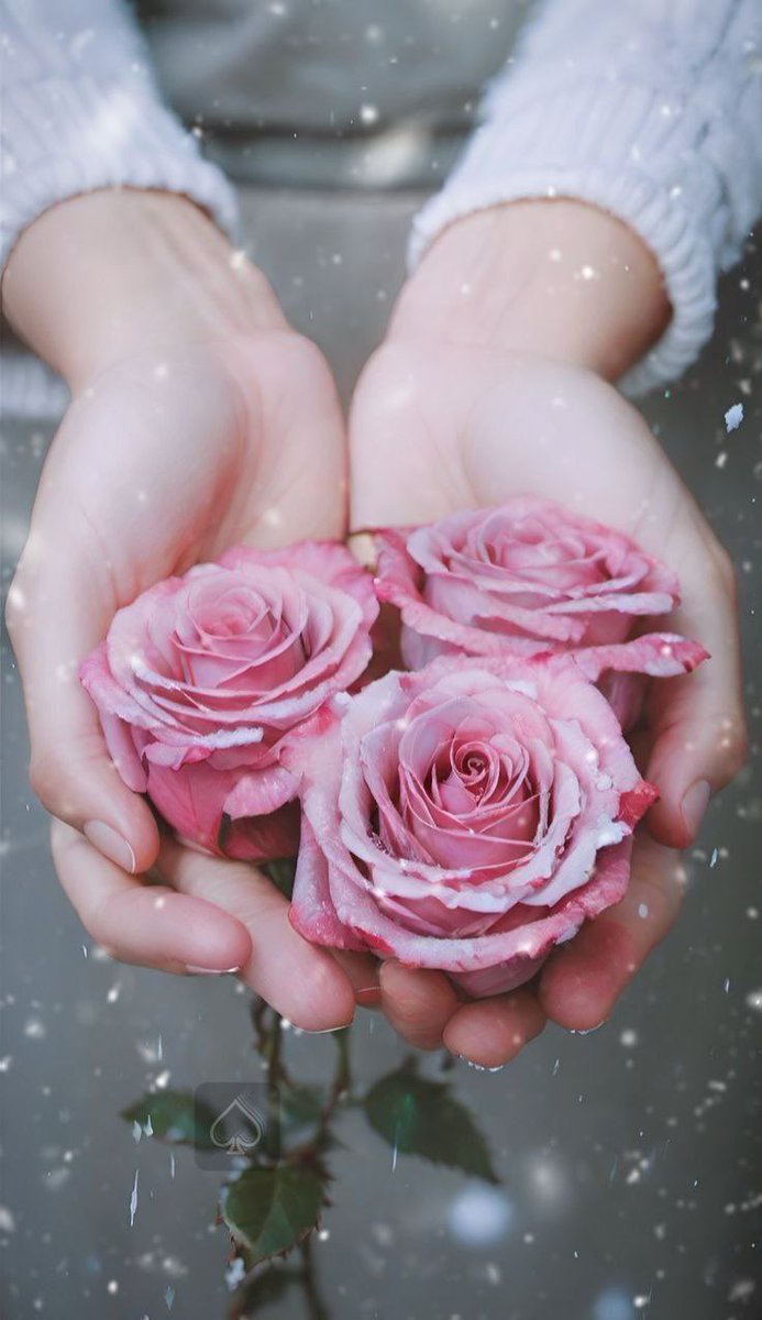 #مقومات_الجمال_في_نظرك

من لا يسعى إليك بقلبه
فلا حاجة لك بخطاه.

فالحبُّ ليس سدّ فراغ
بل اكتمالُ روحٍ وجدت مأواها.

–جلال الدين الرومي