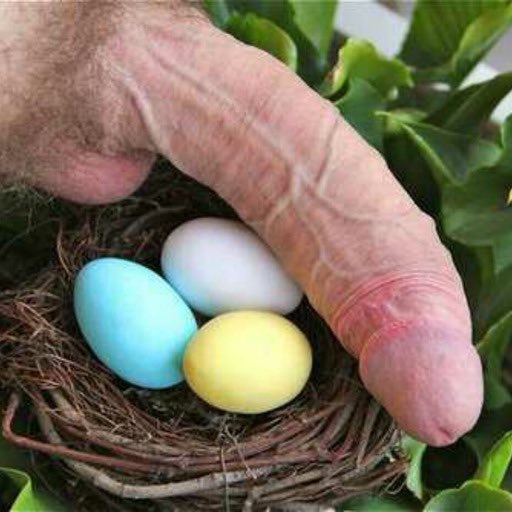 🍆 Beautiful Cock tweet media