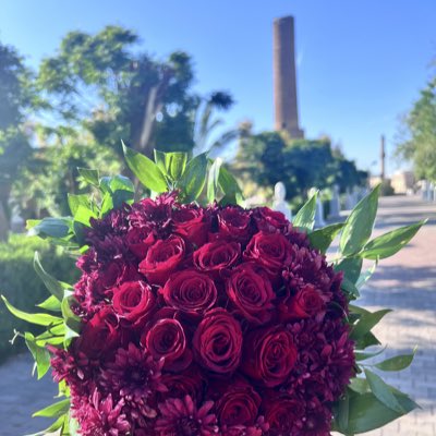 Zaenno's tweet photo. #NewProfilePic https://t.co/aNr36TDTrO