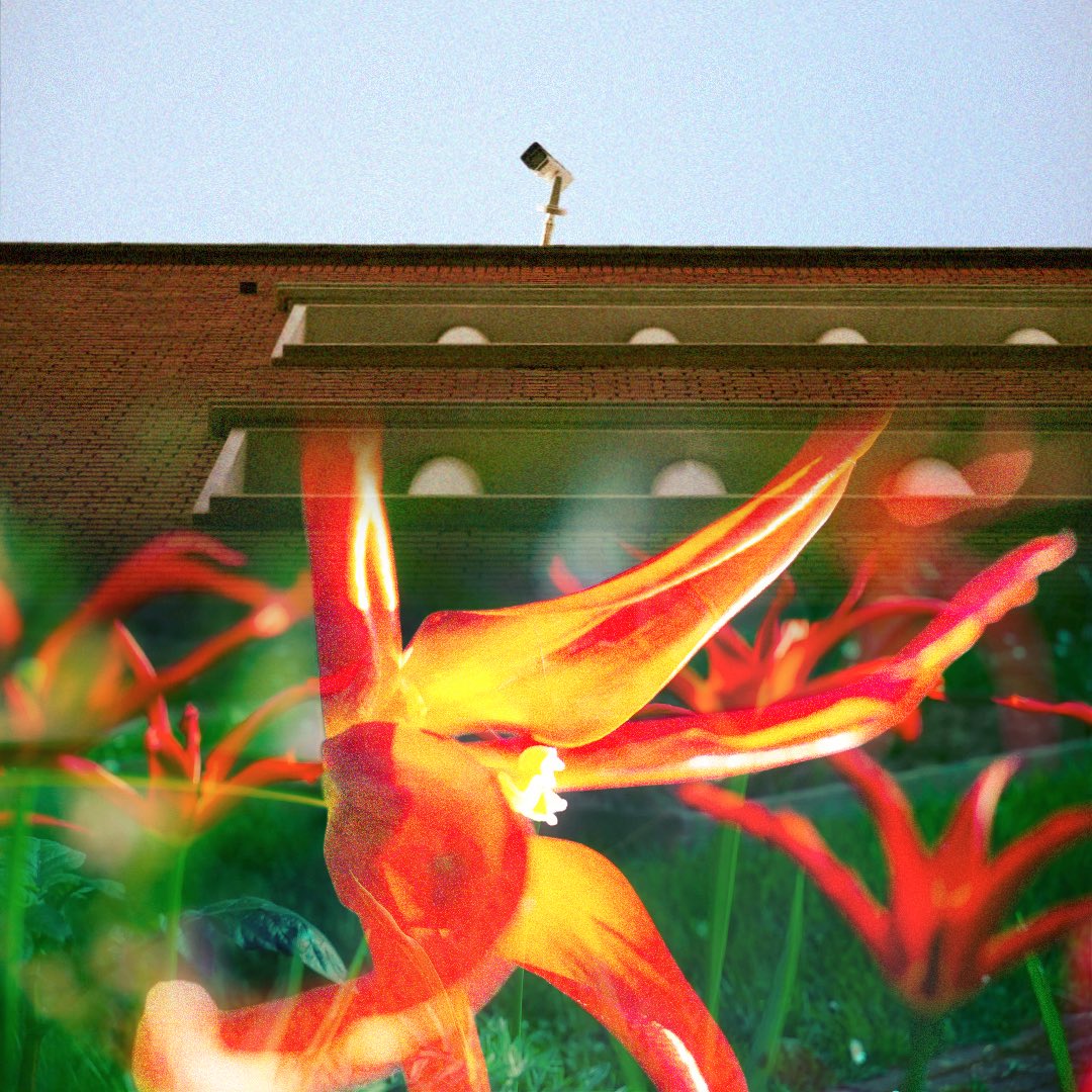 superviperee's tweet image. Briques fleuries (2025) 🧱🪻