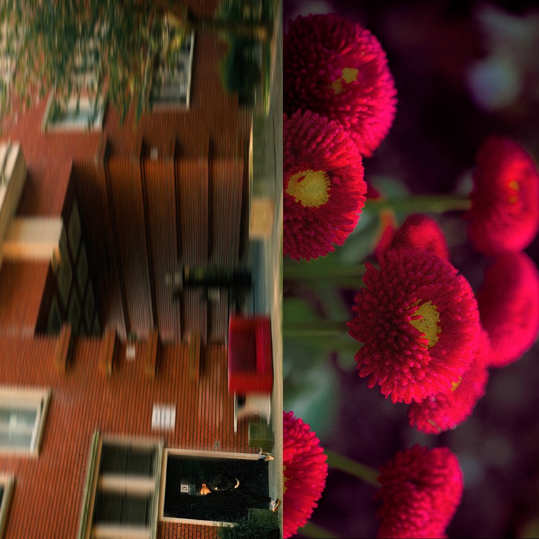 superviperee's tweet image. Briques fleuries (2025) 🧱🪻