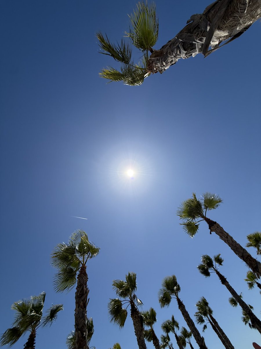 Cuando te gusta la gente, pero prefieres quedarte un rato sola, admirando la luz desde el otro lado de la orilla 🩵