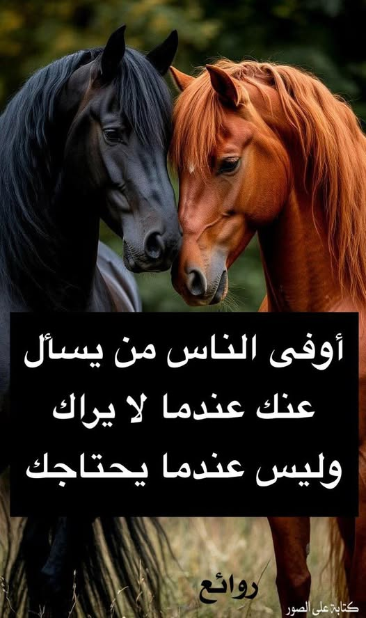 سماء تعز (@samataiz6) on Twitter photo 