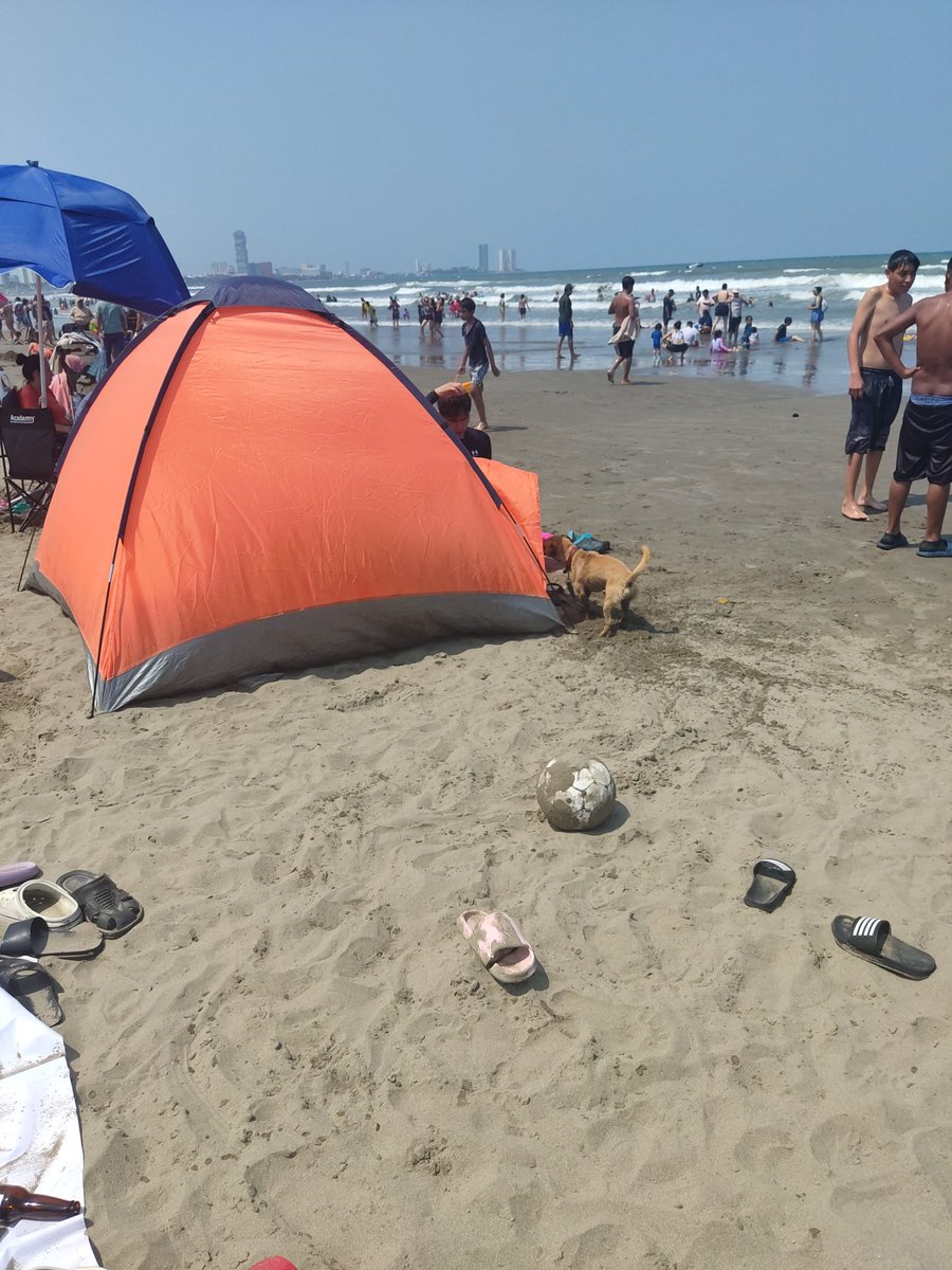 singleverboc's tweet image. 