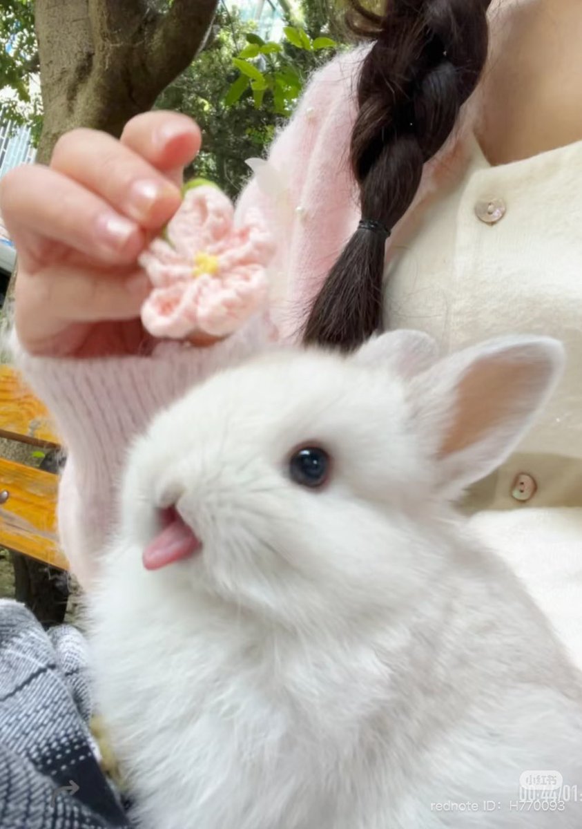 piinkimi_'s tweet image. 