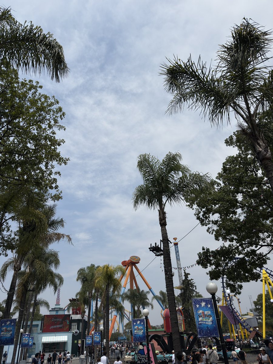 GiGi🍒 tweet media