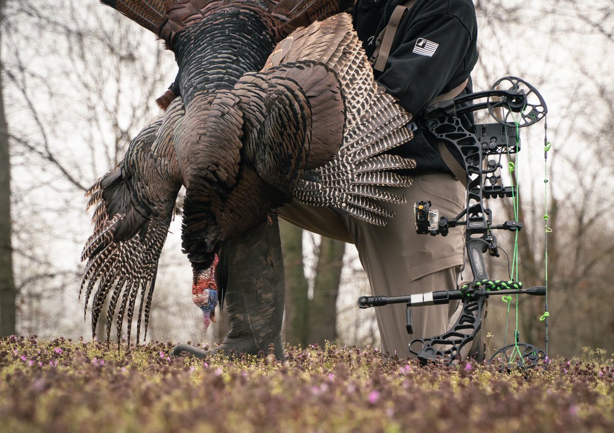 Luke Champnella tweet media